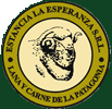 Volver al Inicio